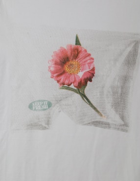 Playera manga corta Biography cuello redondo para mujer